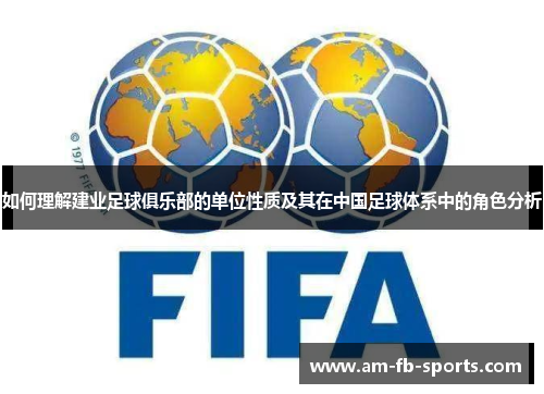 如何理解建业足球俱乐部的单位性质及其在中国足球体系中的角色分析 如何理解建业足球俱乐部的单位性质及其在中国足球体系中的角色分析