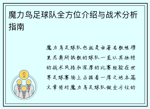 魔力鸟足球队全方位介绍与战术分析指南